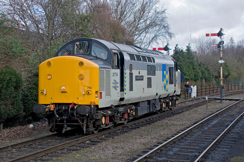 37714, coming off-shed, Loughborough (GCR) station 
 Having brought some empty stock into Lougborough's GCR station, 37714 'Cardiff Canton' headed off to the shed and has now emerged and is running round to join the other end of the said stock. It would then tuck in behind 55009 'Alycydon' as far as Quorn and Woodhouse station where the Deeltic would detach leaving the 37 to lead the ECS into a siding to the south of the station. 37714 was one of the 'heavyweight' locomotives converted in October 1988. It then came under the custodianship of EWS and headed off to Spain before being repatriated in 2013. It is now owned by the Heavy Tractor Group and resides full-time on the GCR. 
 Keywords: 37714 coming off-shed, Loughborough GCR station Great Central Railway Cardiff Canton