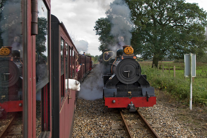 9, 12.40 Aylsham-Wroxham & 7, 12.40 Wroxham-Aylsham, Fendyke Nursery Crossover 
 A meeting of trains on the Bure Valley Railway takes place at the delightfully named Fendyke Nursery crossover. We are travelling on 12.40 from Aylesham to Wroxham behind number 9 Mark Timothy' with Number 7 'Spitfire' leading the balancing 12.40 from Wroxham wearing a Halloween embellishment! Notice the dog leaning out of the compartment in the next coach taking in the whole scene! 
 Keywords: 9 12.40 Aylsham-Wroxham 7 12.40 Wroxham-Aylsham Fendyke Nursery Crossover Bure Valley Railway Mark Timothy Spitfire