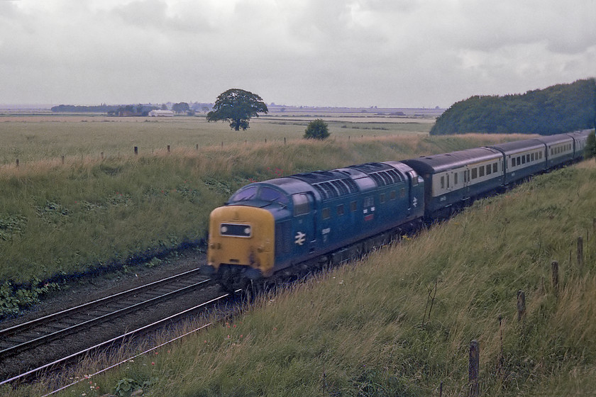 55009, unidentified up working, Hougham SK894453 
 55009 'Alycidon' speeds southwards past the village of Hougham in Lincolnshire with an unidentified up working. As can be seen, Alycidon has had its headcode panel covered over with a domino style panel. Many of the class had their panels completely plated over with two small marker lights installed. I am not sure which look I prefer, I suppose it has to the the former as it is more akin to the as-built four-character headcode panel. 
 Keywords: 55009 up working Hougham SK894453