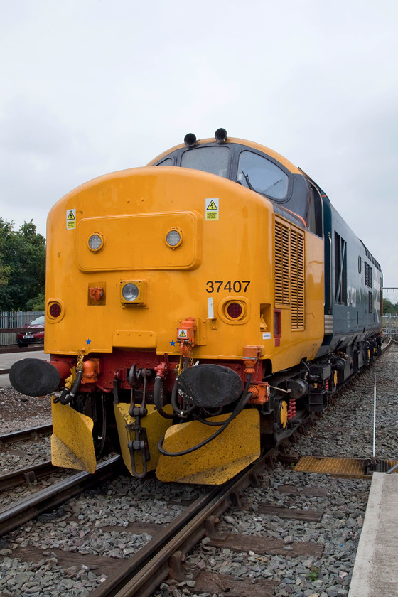 37407, on-display, DRS Open Day, Gresty Bridge 
 37407 looks very smart in its freshly applied large logo livery similar to the one it carried for a number of years during the 1980s. It is the most recent (and the last?) class 37 that DRS has acquired and rebuilt for future use on its various contracts. Long may they continue to maintain and use these veteran English Electric locomotives that have served the rail network so well over the last fifty plus years.