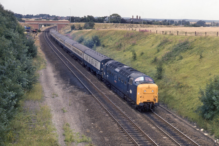 55009, 12.45 Hull-London King`s Cross (1A18), Tuxford SK748711 
 A nice photograph of 55009 'Alycidon' leading the 12.45 Hull to London King's Cross past Tuxford. The photograph is taken from the bridge of a minor road with the A6075 bridge in the background. Whilst this shot is still possible, tree growth has encroached somewhat with the old trackbed that had the lines that led to the Great Central Lincoln line to the left obliterated. At the time of writing, the Deltic Preservation Society own and runs 55009 but it is out of action due to every traction motor being damaged following an 'incident' whilst it was hauling the return Auld Reekie railtour near to Dunbar on 03.03.19. 
 Keywords: 55009 12.45 Hull-London King`s Cross 1A18 Tuxford SK748711