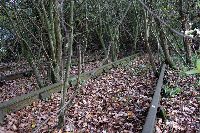 Trackbed, L&NW line to Wellingborough, Delepre Lake SP767593 
 A photograph taken in the opposite direction to the last one of the former L&NWR route next to Delapre Lake to the south of Northampton. This overgrown view is looking towards Wellingborough and was once a busy route along the Nene Valley ultimately ending up at Peterborough. Indeed, the far eastern end of this line is now the home of the Nene Valley Railway. The double-track has not seen traffic for many years despite its intact appearance. I would love to know why the wrecking gangs did not remove this track when the line was closed in 1964 due largely to the high running costs on account of the high number of manned level crossings. 
 Keywords: Trackbed L&NW line to Wellingborough Delepre Lake SP767593