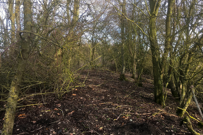 Former SM & J trackbed, SP773518 
 Looking eastwards along the remains of the SM & J trackbed between Roade and Ravenstone. The line was a single-track at this point and it's hard to believe that it was used for heavily loaded freight trains right up to its closure in June 1958. This line was yet another example of an east-west link of which there were many in past times. Between London and Birmingham the only remaining line that links between the Great Western and the Midland is the yet to be reopened (if ever?) Varsity and Marston Vale line. Do we rue the day that all these lines were closed given the difficulties that we have today with the dearth of cross-country links? 
 Keywords: SM & J trackbed SP773518