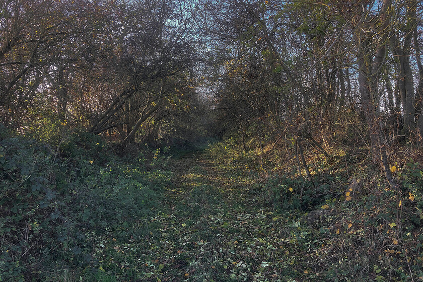 Route of former SMJR, SP751508 
 The Stratford-upon-Avon and Midland Junction Railway (SMJR) was a strange little line that stretched from Broom Junction (Warwickshire) to Bedford in the east. Built to take advantage of the movement of iron ore from Northamptonshire to South Wales it was never a money-spinner and fell into decline but did see a rise in fortunes during the two wars due to its route traversing the Midlands linking the arterial mainlines. For the most, it was double-tracked with a number of stations that served very low population centres. In this view, looking west, the former trackbed is seen just south of the village of Roade with the next station being Stoke Bruerne. 
 Keywords: Route of former SMJR SP751508