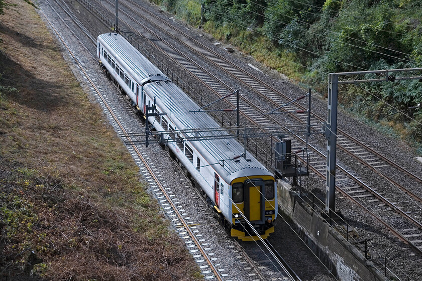 156418, 10.33 Wolverton Centre Sidings-Norwich Crown Point (5Z56), Roade Cutting 
 It is uncommon to see a Greater Anglia unit on the WCML. 156418 has just left Wolverton Works (some eight miles south of this spot) after receiving attention and is returning to East Anglian metals as the 10.33 Wolverton Centre Sidings to Norwich Crown Point. The two-car unit is seen passing through Roade cutting in a view made a lot easier thanks to the recent clearance by Network Rail of the embankment above the retaining wall on this side at least! 
 Keywords: 156418 10.33 Wolverton Centre Sidings-Norwich Crown Point 5Z56 Roade Cutting Greater Anglia