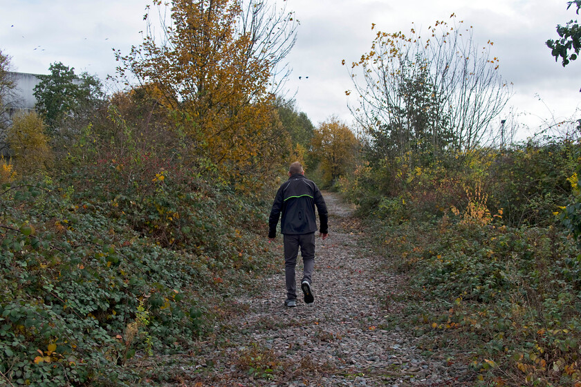 Mike, Mid. route to Bedford, Brackmills SP776589 
 Mike makes his way along the trackbed of the former Midland Railway route between Northampton and Bedford. He is walking on the ballast through the Brackmills Industrial Estate toward Bedford. As late as 2009 Network Rail still had responsibility for this section of the route designating it as 'Out of Use (temporary)' in September of that year. The route is largely intact and there has been a number of reports and investigations into its reopening. If the whole route between Northampton and Bedford was not to open some sort of rapid transit link between Northampton and the busy Brackmills estate would go some way to easing the town's chronic transport congestion. 
 Keywords: Mike, Midland route to Bedford Brackmills SP776589.