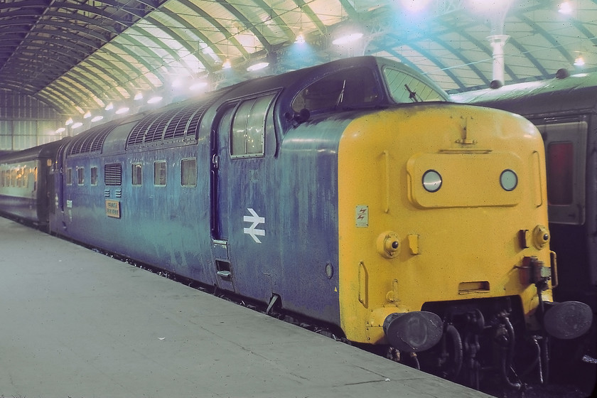 55017, 17.05 London King's Cross-Hull (1D04), Hull station (Courtesy of GGV) 
 Before taking our leave of Hull we called in at the station as we were passing. To our delight we found 55017 'The Durham Light Infantry' had just arrived with the 1D04 17.05 from King's Cross. For some reason, I did not take a photograph of the locomotive so this one is kindly supplied by Graham. 55017 was one of the Deltics that survived until the end on 31.12.81. Unfortunately, it was not one of the preserved few being broken up at Doncaster two years later in January 1983. 
 Keywords: 55017 17.05 London King's Cross-Hull 1D04 Hull station Deltic The Durham Light Infantry