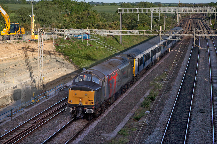 37800 & 317340, 16.16 Ilford EMUD-Kilmarnock Bonnytown (5Q28, 15E), Ashton Road bridge 
 Having seen 37800 'Cassiopeia' work light engine earlier in the day I was awaiting its return in anticipation of a smashing photograph in the low evening sunshine. However, things went wrong when towing 317340 somewhere in north London and it lost a lot of time. As it was dinner time (and my turn to cook!) I had to make do with the spot that was the nearest to home and quickest to get to! Unfortunately, by the time the train arrived the sun had just dipped behind a line of tall trees behind me that put it in deep shadow. I have done the best that I can with Photoshop so this offering will have to do! The 16.16 Ilford to Kilmarnock runs through the night arriving at the Scottish facility at breakfast time the next day. In this particular case it caught up all of its lost time arriving fifteen minutes early. By the way, dinner was smashing and I am allowed out again to play! 
 Keywords: 37800 317340 16.16 Ilford EMUD-Kilmarnock Bonnytown 5Q28 Ashton Road bridge Cassiopeia Europhoenix ROG Rail Operations Group