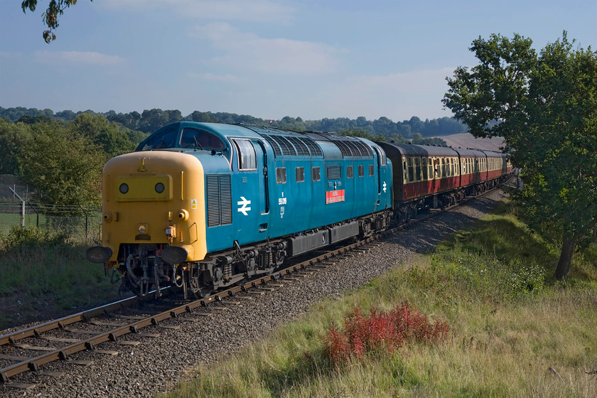 55019, 12.59 Kidderminster-Bridgnorth, West Midlands Safari Park SO799748 
 55019 'Royal Highland Fusilier' leads the 12.59 Kidderminster to Bridgnorth Severn Valley Railway diesel gala service on the approach to Bewdley station past the West Midlands Wildlife Park. The bulk of the Deltic looks a little faded and, as is common practice on such occasions, was running on just one engine. Still, 1,650 bhp is ample enough to haul a rake of Mk. I stock at a maximum of twenty-five miles per hour! As a life member of the DPS, see..... https://www.thedps.co.uk/ I am always pleased to see one of 'our' locomotives out providing entertainment for enthusiasts. 
 Keywords: 55019 12.59 Kidderminster-Bridgnorth West Midlands Safari Park SO799748 Deltic Royal Highland Fusilier DPS Deltic Preservation society