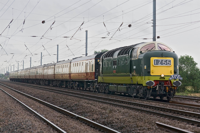 D9009, outward leg of The White Rose, 08.17 London King`s Cross-York (for 60163 on) (1Z55), Holme Green crossing TL192426 
 A far more conventional image than the previous one shows D9009 'Alycidon' leading The White Rose charter running as 1Z55. It left King's Cross at 08.17 for York where 60009 'Tornado' would take over. The Deltic makes a fine sound as it runs on the down fast line at Holme Green crossing south of Biggleswade. I was a little surprised to be the only person at this location but it was a pretty miserable July morning and a weekday come to that!

There is an audio recording of this event on my youtube channel, see.... https://youtu.be/Qmvrcyazyng 
 Keywords: D9009 Alycidon The White Rose, 08.17 London King`s Cross-York 1Z55 Holme Green crossing TL192426 Deltic