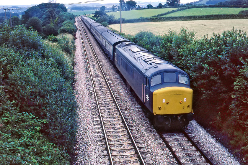 45016, 08.20 Newcastle-Penzance (1V22), Tigley SX759604 
 A rather head-on photograph but it is from an era now long gone, so has made the final cut! Peak 45016 leads the 08.20 Newcastle to Penzance 1V22 as it climbs the western side of Rattery bank passing the village of Tigley. At this point, the rising gradient will be 1:52 with the train having been climbing for the last three miles or so with another eight miles to the summit at Wrangaton between Brent and Ivybridge. 45016 looks very smart due to it being released from a works visit in the last two weeks where its centre headcode box was replaced by the marker lights seen here. The Peak remained in service for another five years until the summer of 1985. 
 Keywords: 45016 08.20 Newcastle-Penzance 1V22 Tigley SX759604 Peak rattery Bank