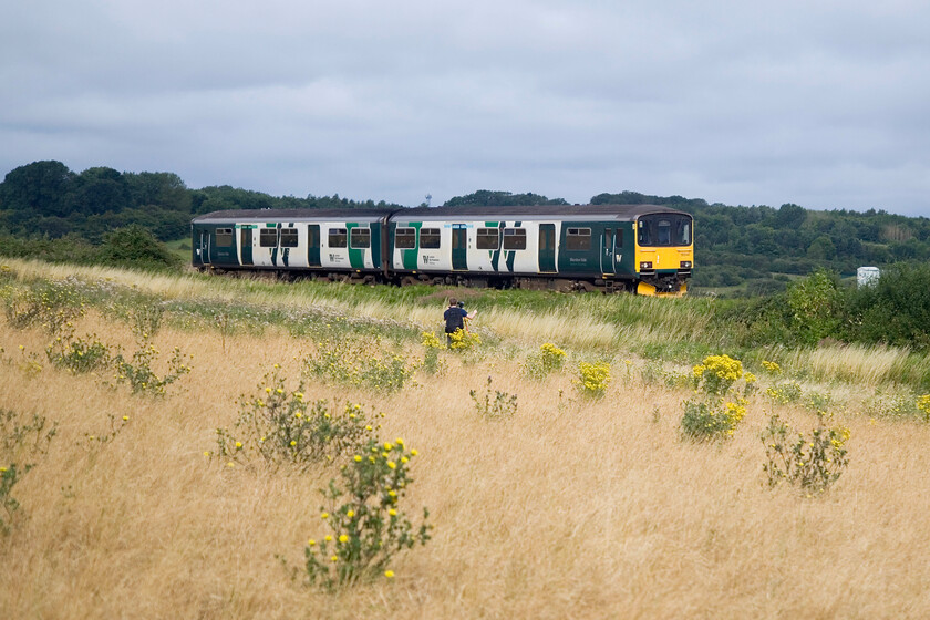 150141, LN 08.45 Bletchley-Bedford (2S07, 1L), Lidlington SP978384 
 The familiar sight of a venerable Class 150 on the Marston Vale line can, once again, be enjoyed since they returned, if a little sporadically earlier this year. Watched and filmed by a fellow enthusiast, 150141 approached Lidlington with the 2S07 08.45 Bletchley to Bedford service. Last year, this field was cropped but it appears that the landowner has taken advantage of some Defra scheme or other to take it out of production. Let's hope that no horses get into this field given the profusion of ragwort (acobaea vulgaris) that appears to betaking over. 
 Keywords: 150141 08.45 Bletchley-Bedford 2S07 Lidlington SP978384 London Northwestern