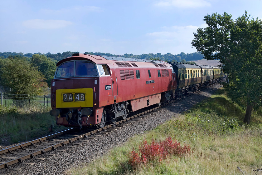 D1062, 12.37 Kidderminster-Bewdley, West Midlands Safari Park SO799748 
 D1062 'Western Courier' leads the 12.37 Kidderminster to Bewdley service past the West Midlands Safari Park on a lovely early autumn afternoon. In fact, the weather was so nice that I had laid on the grass at this quiet spot and had fallen asleep in the sun to be woken from my slumber by the horn of D1062 as it approached! As a young enthusiast, I witnessed the Western's first day of public operation in preservation on 29.04.78 on the Torbay and South Devon Railway, see...... https://www.ontheupfast.com/p/21936chg/25351482004/d1062-16-00-paignton-kingswear-kingswear 
 Keywords: D1062 12.37 Kidderminster-Bewdley West Midlands Safari Park SO799748 Western Courier SVR Severn Valley Railway Western Locomotive Association WLA