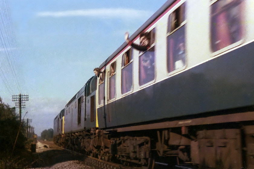 40081 & 40084, outward leg of the MKT Railtour, London Paddington-Kingswear (1Z35), Fairwood Junction 
 Running nearly an hour late, 40081 and 40084 are way off their beaten track as they rejoin the south west mainline at Fairwood Junction near Westbury. With an enthusiastic wave from a a gricer in the front coach, the train heads off to Castle Cary, Yeovil, Exeter, Paignton and Kingswear running as 1Z35.