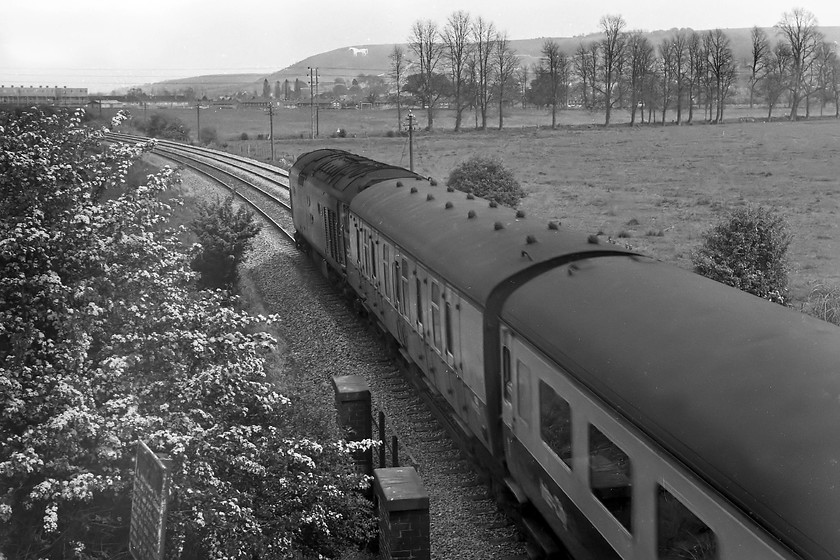 Class 50, unidentified up working, Dilton Marsh ST856511 
 There is one huge giveaway as to the location of this picture; the white horse on the escarpment marking the northern edge of Salisbury Plain in the background. This view is taken from a footpath bridge that crosses the Westbury cut-off (or station avoider) near the village of Dilton Marsh that is just south-east of Westbury. Unfortunately, I was not able to capture the number of the Class 50, my notebook simply says '5004?' So, I have no chance of identifying the up working either. Notice the former Great Western cast sign in the bottom left-hand corner of the picture. In common with many such signs at this time, the actual message has been highlighted in white paint on the raised letters, but the title that would probably have said 'Great Western Railway' (or such) has been left unpainted. The other thing to notice is the line of dead elm trees, it gives the impression that the picture was taken in winter rather than the first day of June. Dutch elm disease killed virtually all of the elm trees in the West Country as it spread up the country, completely changing the landscape in the process. 
 Keywords: Class 50 up working Dilton Marsh ST856511