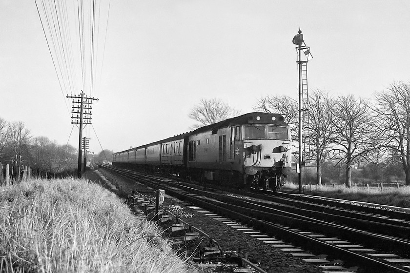 50015, 13.30 London Paddington-Penzance (1B65), Woodborough 
 50015 'Valiant' leads the 13.30 Paddington to Penzance past Woodborough's down home signal. I know that it is taken the wrong side for the sun but I particularly like the long shadows created on the 50's nose by the jumper cable equipment. I also like the S & T telegraph wire and post standing against the clear sky, a feature of the railways that has disappeared now. Notice the line of Dutch elm trees silhouetted against the sky, they look to be in their winter phase but they would never bear leaves again as they were, by 1979, dead from the work of the elm bark beetles spreading the fatal sac fungi. 
 Keywords: 50015 13.30 London Paddington-Penzance 1B65 Woodborough