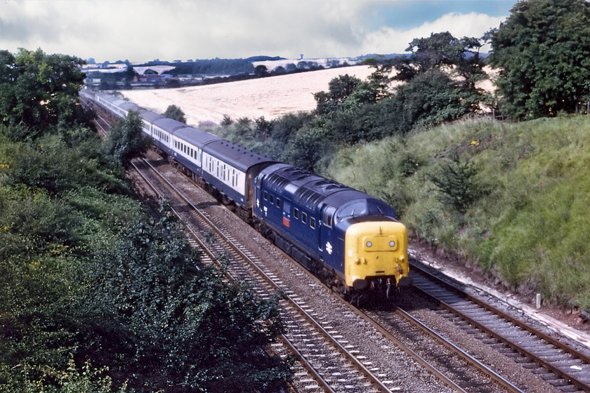 55017, 09.00 Aberdeen-London Kings-Cross (1E11), Eaton Wood SK723773 
 55017 'The Durham Light Infantry' passes Eaton Wood just south of Retford with the 1E11 09.00 Aberdeen to King's Cross working. The sun has put in a rare appearance at this classic spot that I visited a number of times subsequent to this first one in August 1980. 
 Keywords: 55017 09.00 Aberdeen-London Kings-Cross 1E11 Eaton Wood SK723773