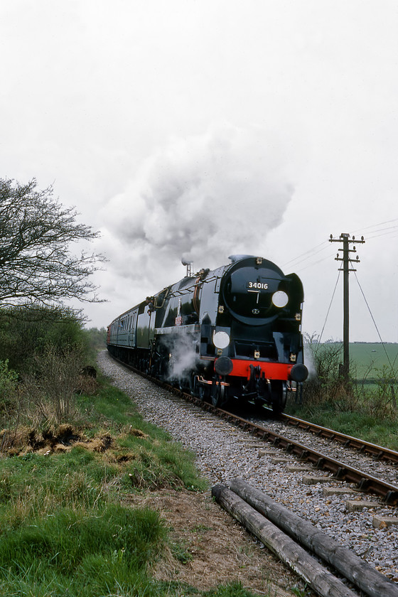 34016, 13.30 New Alresford-Ropley, Ropley Dean SU623322 
 The fine sight of a Bulleid West Country Pacific passing at very close quarters is quite something, even if it is only travelling at twenty-five miles per hour! 34016 'Bodmin' is fresh from an amazing restoration working the 13.30 New Alresford to Ropley service on the Mid-Hants Railway seen passing Ropley Dean. In its nineteen years of mainline working, it will have worked this line between Alton and Winchester frequently, with crews often referring to the route 'going over the Alps' due to the long and steady 1:60 gradients either side of Medstead and Four Marks. 
 Keywords: 34016 13.30 New Alresford-Ropley Ropley Dean SU623322 Bodmin Watercress Line Mid Hants. Railway.