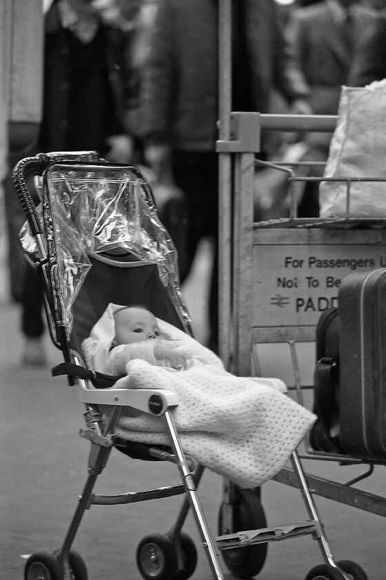 Baby, London Paddington station 
 A baby takes full stock of its travelling arrangements from the relative peace and luxury of its pushchair! I hope that it was looking at the buffer stops at Paddington making careful note of the motive power on view. According to my notebook, the young person would have witnessed a couple of HSTs, three Class 50s and a 47 with some rather more mundane DMUs over to their right. This child, I would estimate (at the time of writing in early 2022), would now be some forty years old; I wonder if they still travel by train? 
 Keywords: Baby, London Paddington station