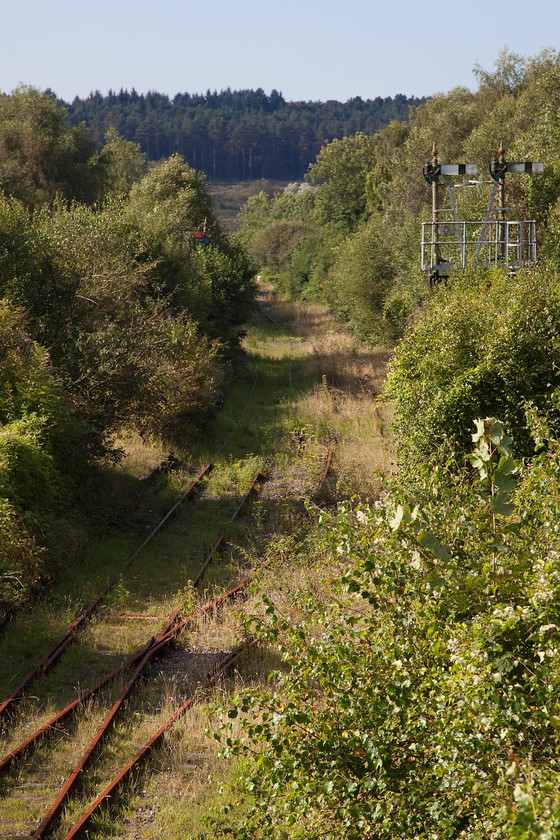 Tondu Junction looking towards Margam 
 A decaying scene at Tondu taken from the footbridge. The pair of tracks are heading in a westerly direction to become a single track in the trees is the distance. This line links Tondu with Margam and was once a busy line carrying coal trains out from the western valleys. It was also a useful diversionary route when the mainline was closed but trains needed to reverse out of view behind me just past Tondu signal box. Never say never, but I suspect that this line will not carry trains again even though its is connected at both ends and is fully signalled. However, there will need to be a little vegetation clearance! 
 Keywords: Tondu Junction Margam