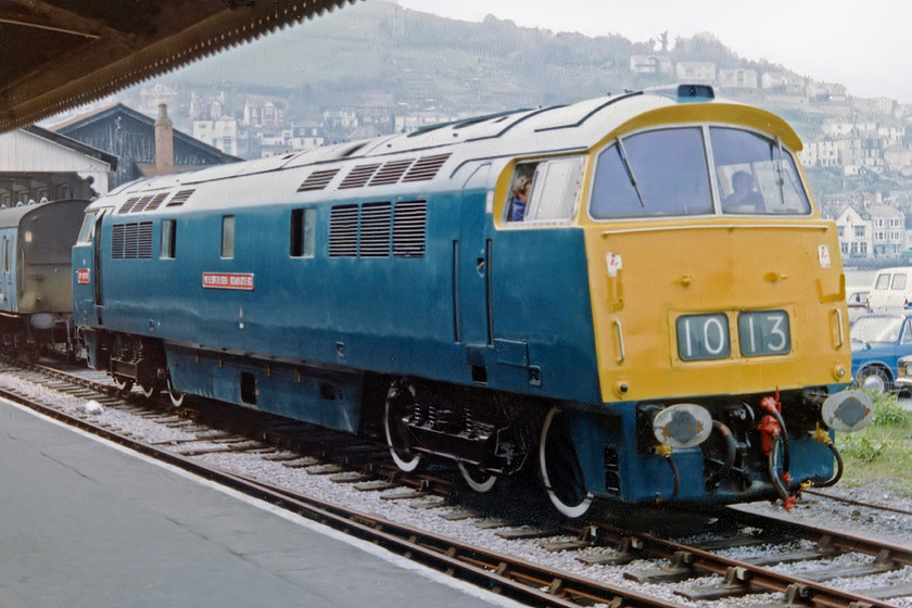 D1013, stabled, Kingswear station (courtesy David Brush) 
 A second shot of D1013 'Western Ranger' stabled between duties at Kingswear station on the Torbay and Devon railway (as it was known then). This picture is a scan from a print given to me by my teacher who organised the trip to Devon for three of us lads! 
 Keywords: D1013 Kingswear station