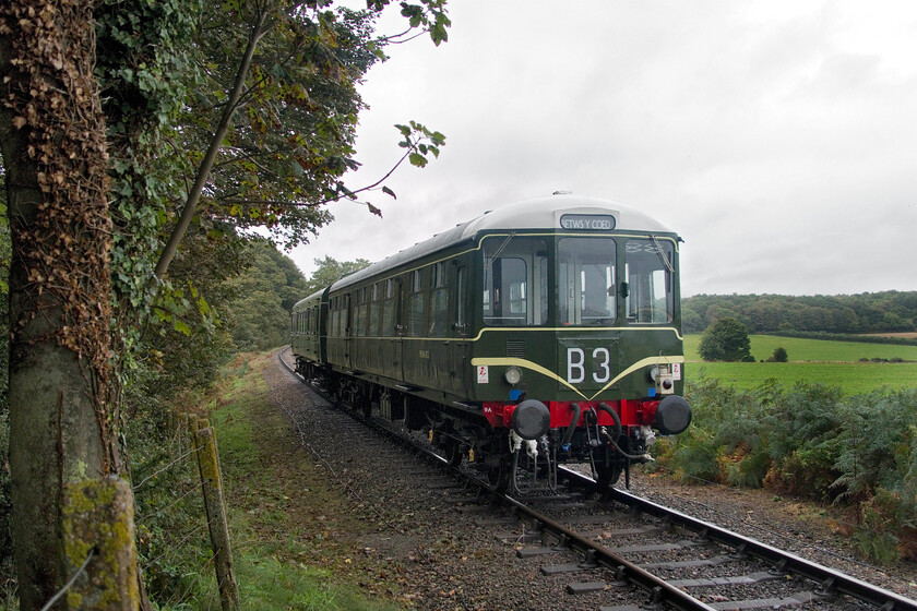 M51188 & M56182, Weybourne-Holt ECS, Weybourne woods-19.10.23 
 Recently restored and reintroduced into service Class 104 DMU M56182 brings up the rear of the morning's ECS working to Holt climbing through the woods towards Kelling. Leading the pair, not going to Betws-y-coed as indicated by the destination blind, is Class 101 DMU M51188 which is a long-term resident of the North Norfolk Railway but is actually on loan to them being owned by the National Railway Museum. 
 Keywords: M51188 M56182 Sheringham-Holt ECS Weybourne woods Class 104 Class 101 DMU