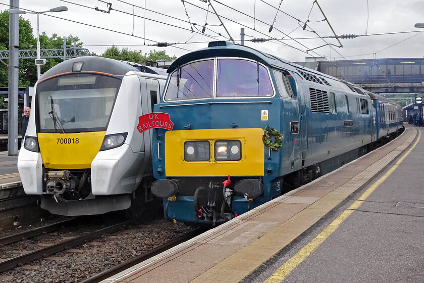 700018, TL 07.34 Bedford-Three Bridges (9R07, 3L) & D1015, outward leg of the Westbury Wizzo, 06.02 East Midlands Parkway-Cranmore, (1Z77, 3L), Bedford station 
 Not a sight that is seen at Bedford every day! D1015 'Western Champion' comes to a halt with the outward leg ofUK Railtours' Westbury Wizzo charter. Andy and I travelled on the charter to Westbury but not onwards to Cranmore on the East Somerset Railway. Notice the wreath attached to lamp bracket of D1015. This was in honour of Andy Venn who passed away just a week before the charter ran. He was one of the founding members of the DTG who worked on D1015 when it was languishing at Swindon and later Oal Oak Common. More recently he has been one of the DTG's technical riders accompanying the locomotive on its wanderings. 
 Keywords: 700018 07.34 Bedford-Three Bridges 9R07 D1015 Westbury Wizzo 06.02 East Midlands Parkway-Cranmore 1Z77 Bedford station DTG Western Champion