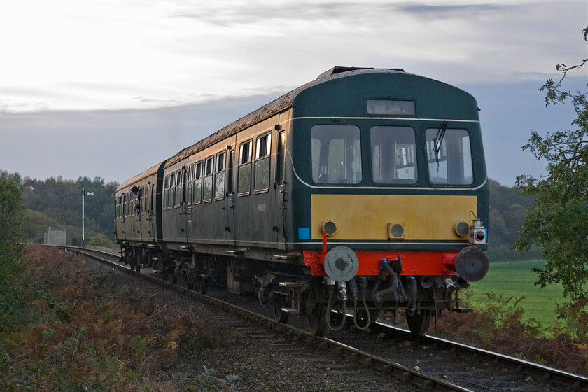 M51192 & M56352, 15.45 Sheringham-Holt, Kelling Heath Park station 
 With the day having been characterised by a brilliant blue autumn sky it appears as though a front is moving in from the west in this view at Kelling Heath on the North Norfolk Coast. Class 101 DMU made up of M51192 and M56352 get away from Kelling Heath station with the final country bound service of the day, the 15.45 Sheringham to Holt. After the train had clattered away into the distance I enjoyed a lovely walk back through the woods in the early half-light kicking the fallen leaves as I went! 
 Keywords: M51192 M56352 15.45 Sheringham-Holt Kelling Heath Park station Class 101 DMU