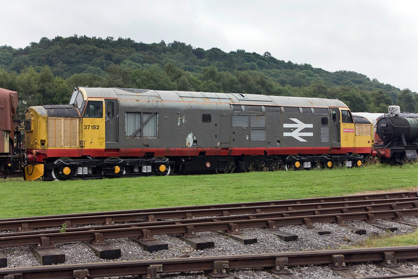 37152 & 5553, undergoing restoration, Rowsley yard 
 37152, in its Railfreight livery, stands in Peak Rail's yard at Rowlsey. After many years of work on the mainline, it was withdrawn as an EWS locomotive in 1999. It eventually arrived at Peak Rail in March 2006 where it has stayed since hauling trains up and down the preserved line. 
 Keywords: 37152 5553 Rowsley yard