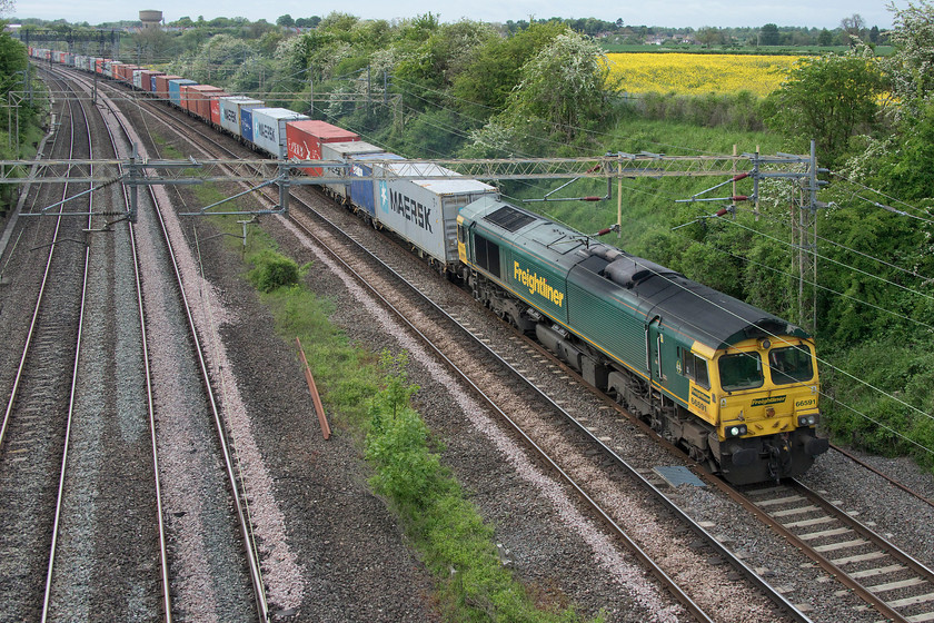 66591, 13.01 Birch Coppice-Felixstowe North (4L97), Victoria bridge 
 The first of five freights seen in a row at Victoria bridge is headed by 66591. It is leading the 13.01 Birch Coppice to Felixstowe North Freightliner. Notice the hawthorn in full bloom and the oilseed rape turning the field yellow; it can only be spring time, it's just a shame that the sun is not out! 
 Keywords: 66591 13.01 Birch Coppice-Felixstowe North 4L97 Victoria bridge