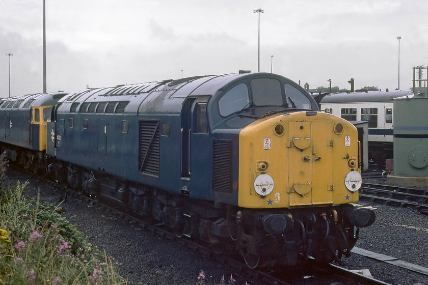 40037 & 47361, stabled, York MPD 
 At York MPD, situated at the back of the National Railway Museum, 40037 and 47361 are seen stabled awaiting their next duties. The class 40 had exactly two years left in service with it being cut up at Swindon in November 1983. 47361 was a no-heat locomotive that lived on longer than 40037 until 2004. It was cut up at EMR's site at Kingsbury where so many locomotives have met their fate. 
 Keywords: 40037 47361 stabled, York MPD