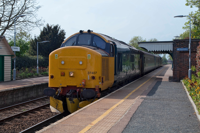 37407 & 37405, LE 14.55 Norwich-Lowestoft (2J80, 5L), Cantley station 
 A bit of a 'grab' shot at Cantley station because we arrived just as the 37s rolled in with the 14.55 Norwich to Lowestoft giving us no time to get the right side for the sun. However, careful use of the levels and layers functions in Photoshop has produced a passable 'record' shot that will win no prizes! 37407 is on the front of the Greater Anglia working with 37405 bringing up the rear. 
 Keywords: 37407 37405 2J80 Cantley station