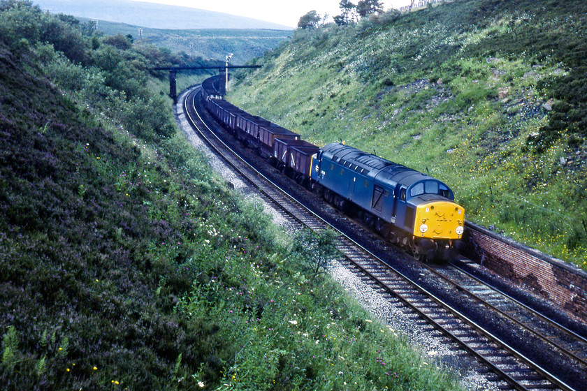 40036, up coal empties, Dent SDS764876 
 40036 leads a long rake of mixed and empty coal wagons on the approach to Dent station taken from the road bridge. Notice the tall Dent distant signal towards the rear of the train. The signal remained pulled off as were all the arms controlled by Dent box as it was switched out. 40036 was in service for another two years before withdrawal and cutting up at Swindon Works, which was completed by September 1982. Today, this lovely open view of the wild fells is somewhat compromised by rampant tree growth, ably illustrated in an image taken by Martin Loader (Hondawanderer), see.....http://www.hondawanderer.com/40145_Dent_2020.htm, coincidentally, also of a Class 40 and some forty years later! 
 Keywords: 40036 up coal empties Dent SDS764876