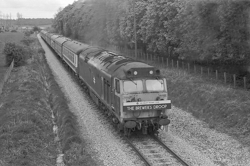 50036, outward leg of The Brewer's Droop, London Paddington-London-Waterloo-(via-Salisbury), Melksham Dunch Lane 
 50036 brings the The Brewer's Droop railtour into Melksham taken from Dunch Lane just to the north of the town. The train had stopped for 2 hours at Swindon and is about to do the same here at Melksham arriving at 12.45. 50036 was not quite ten years old when this photograph was taken, and was named 'Victorious' just three days later. It was a shame that this didn't happen in time for its railtour duties! 
 Keywords: 50036 The Brewers Droop, London Paddington-London Waterloo Melksham Dunch Lane