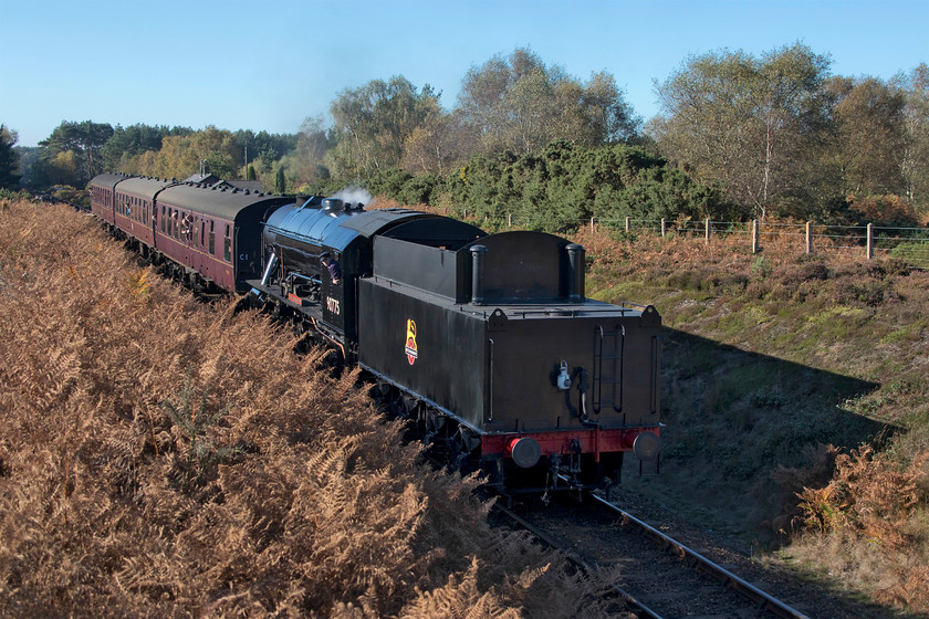 90775, 11.25 Holt-Sheringham, Kelling Heath 
 Having worked to Holt with the first steam working of the day, 90775 'The Royal Norfolk Regiment' drifts back with the 11.25 Holt to Sheringham. It is seen running tender first across Kelling Heath and about to descend to Weybourne. I love the colours of autumn and the profusion of bracken (Pteridium) adds to the scene but it looks like the North Norfolk Railway maintenance team could do with a little 'controlled' cutting on the embankments. 
 Keywords: 90775 11.25 Holt-Sheringham Kelling Heath