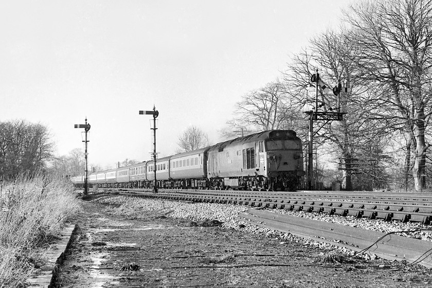 50016, unidentified up working, Woodborough SU097596 
 With four semaphores on view at Woodborough in Wiltshire, 50016 'Barham' heads east with an unidentified up express. As this particular train has the restaurant coach third in the formation, it is likely that the train originated from Paignton as this was more common on these workings than those from Plymouth or Penzance. The bracket semaphores to the right control the up fast and the loop whilst the single arm posts the down main and loop. All were operated by Woodborough signal box located about a third of a mile behind where I'm standing. All the arms had only another seven days of operation before they were ripped out, probably without ceremony, as the next phase of the West of England MAS scheme became live. 
 Keywords: 50016 up working Woodborough SU097596