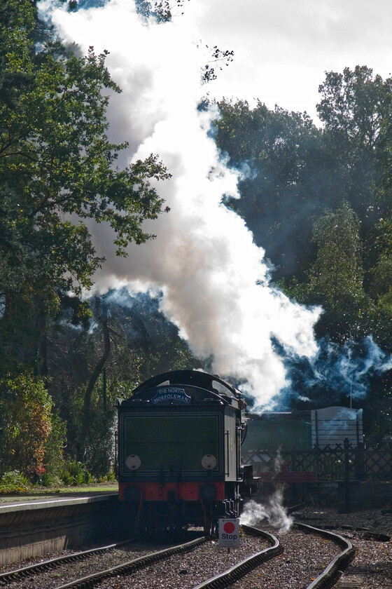 11. 8572, running round, Holt station