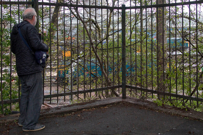 Andy looking at UKRL's stock, Leicester 
 Andy peers through the trees from the pathway that passes above UKRLs Leicester facility. Nearest to him is 47749 City of Truro which was sitting at the fuelling point with it engine running. 50049 Definace is behind the Class 47 with another unidentified Duff beyond that. It felt like spotting days of old with a selection of diesel locomotives scattered about the sidings awaiting their next turn of duty in a range of the older style liveries more associated with our youthful days on platform ends! 
 Keywords: Andy looking at UKRL stock Leicester