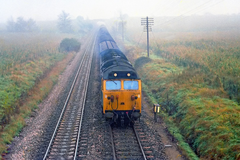 50022, down ECS, Fairwood Junction 
 50022 approaches Fairwood Junction just outside of Westbury with an unidentified down empty coaching stock working. I don't know if this straight-ahead viewpoint was deliberate or if it was 'grab shot'? Having said this, grab shots with the Exa camera, that was being used at the time, were not an easy proposition given the setting up that was required!