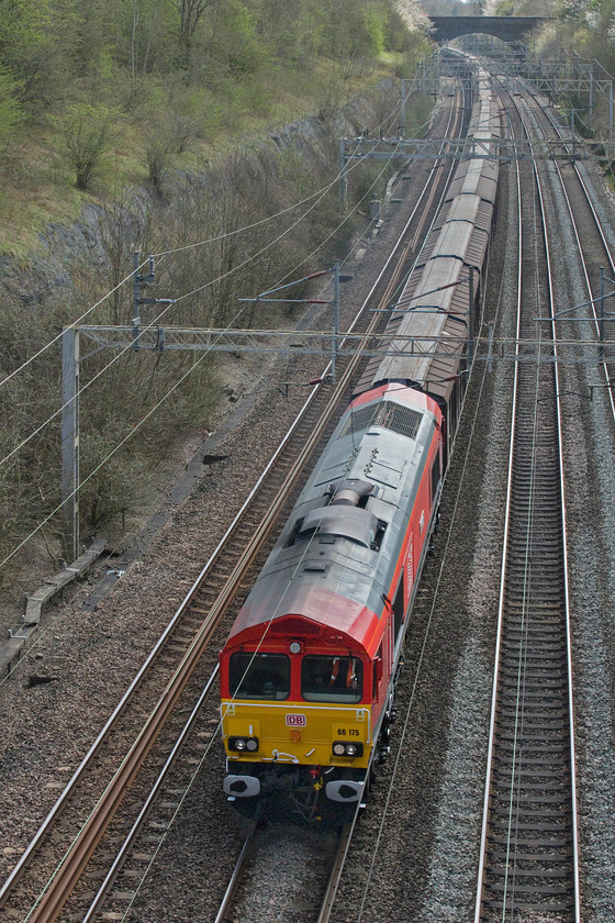 66175, 07.05 Dollands Moor-DIRFT (6M45, 29E), Roade cutting 
 On my walk back from photographing the Class 90 led LSL stock move from Norwich to Crewe and as I crossed Roade cutting the 6M45 bottled water train was due. The 07.05 Dollands Moor to Daventry is seen passing through the cutting led by 66175 'Rail Riders Express' that it seems to work, along with the return balancing working, pretty regularly. The Class 66 was named just three weeks ago on 20.03.20 to celebrate the re-launching of the young enthusiasts' club a month earlier after a thirty-year break. 
 Keywords: 66175 07.05 Dollands Moor-DIRFT 6M45 Roade cutting Rail Riders Express