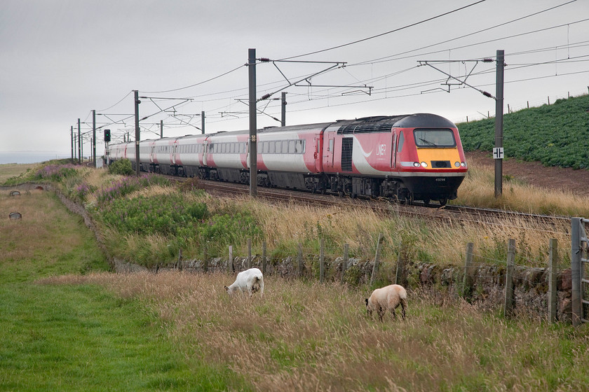 43295 & 43296, GR 10.00 London King`s Cross-Aberdeen (1W11, 58L), Lamberton NT973580 
 The sheep grazing in the field seems totally unphased by the HST, with the concurrently numbered power cars of 43295 and 43296, passing forming the 10.00 King's Cross to Aberdeen. This was a lovely spot at Lamberton to spend some time observing trains passing and on another day Andy and I would have spent longer here was it not for the awful weather and that we were on a mission to reach Ashington by teatime. 
 Keywords: 43295 43296 10.00 London King`s Cross-Aberdeen 1W11 Lamberton NT973580