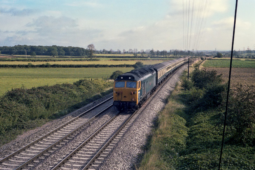 50031, 08.30 London Paddington-Penzance working, Berkley ST805497 
 50031 Hood brings the 08.30 Paddington to Penzance working past Berkeley just east of Frome. As my mother and her partner now live in Frome, I have visited this spot several times in recent years and, apart from some tree growth to the right, the view is very similar today. However, the chances of seeing a class 50 hauling a set of Mk. II stock and a BG van past the spot are pretty rare!

UPDATE.....UPDATE...... Since writing the text above the situation has changed! This view is now not possible due to the installation of a huge 'phone mast right in the foreground. However, there are some gaps in the trees to the right that allow a slightly wider angled view. 
 Keywords: 50031 08.30 London Paddington-Penzance working Berkley ST805497