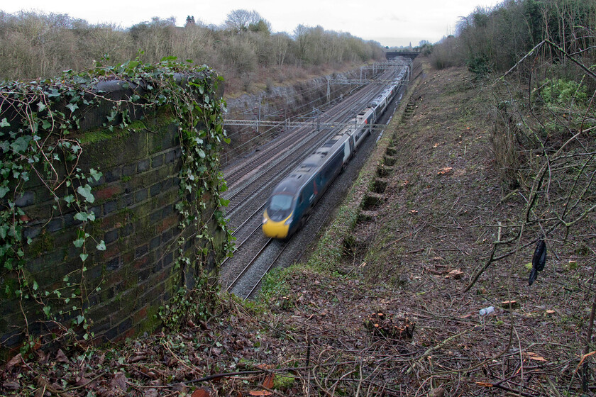 390123, VT 14.16 London Euston-Edinburgh Waverley (9S80, 9L), Roade cutting 
 An alternative image that again illustrates the dramatic clearance in Roade cutting following a frenzied few days of chainsaw-wielding between Christmas and New year. 390123 passes through Roade cutting working the 9S80 14.16 Euston to Edinburgh Waverley Avanti service. To gain maximum depth of field in order to keep the foreground and background in focus I closed the aperture right down thus reducing the shutter speed inducing motion burr: the photograph has worked as I had intended (15mm, 800iso, f11, 1/80 second). 
 Keywords: 390123 14.16 London Euston-Edinburgh Waverley 9S80 Roade cutting Avanti West Coast Pendolino