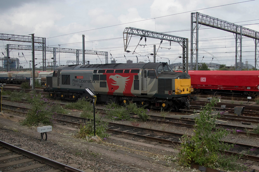 37611, stabled, Wembley yard 
 Having just seen one of the Rail Operation Group's Class 37s at Kensington Olympia, on passing Wembley yard another is seen stabled. 37611 'Pegasus' looks very smart in its livery as it waits for its next job. As D6871, it was new in September 1963 becoming 37171 under TOPS ten years later. It became 37690 in 1995 eventually being painted in the DRS compass livery and finally becoming 37611. 
 Keywords: 37611 stabled Wembley yard