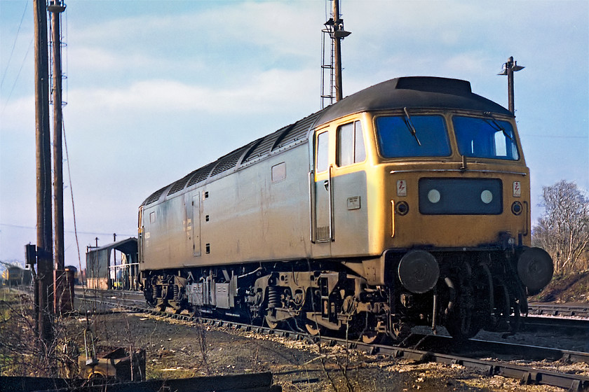 47533, stabled, Westbury MPD 
 47533 basks in the early spring sunshine at Westbury MPD awaiting its next job that I suspect would not be until the following morning, a Monday, as there was no activity around the depot area. In the background, the diminutive maintenance shed can be seen. It was just big enough to fit in one locomotive but space and facilities were somewhat limited. 
 Keywords: 47533 Westbury MPD