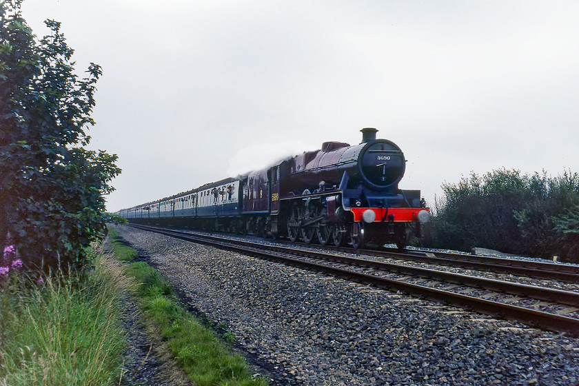 5690, BR sponsored Manchester-Liverpool Edge Hill Special, Chat Moss SJ704972 
 Former LMS Jubilee 5690 'Leander' approaches Astley level crossing with a BR organised and sponsored railtour from Manchester to Liverpool Edge Hill. This train, and its return working, were part of the Rocket 150 celebrations to commemorate the famous Rainhill Trials. Whilst I am not a fan of these low angle, three-quarter views of a train on a dead straight section of track it was symbolic that this spot was chosen as it was in the middle of the fabled Chat Moss. This totally flat area of very flat land described as having an 'anti-picturesque appearance' * was traversed by the world's first passenger railway and was where George Stephenson overcame the vast area of boggy land by building the tracks on a 'floating' wooden and stone foundation; a design that has endured from 1830 with the line still in use today.

* Gary Priestnall's Home Page, University of Nottingham, 21.01.15 
 Keywords: 5690 BR sponsored Manchester-Liverpool Edge Hill Special Chat Moss SJ704972 Leander