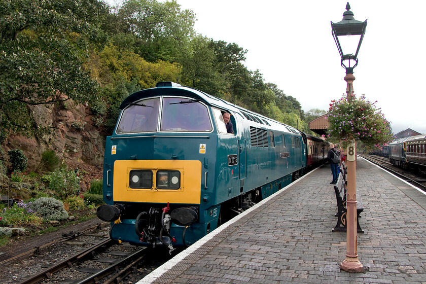 D1015, 11.05 Kidderminster-Bridgnorth, Bewdley station 
 D1015 'Western Champion' draws into Bewdley station working the 11.05 Kidderminster to Bridgnorth gala service. Andy and I took the train all the way to its destination enjoying some Hydraulic action! However, despite appearances, all was not well! The Western was only running on one engine due to the seizure of the other one during a loaded test run a few weeks ago on 17.09.21 in preparation to it leading the Champion Torbay Express railtour that obviously it did not do with Class 50 haulage have to suffice, see.... http://www.hondawanderer.com/50007_50049_Lower_Wick_2021.htm This was a costly and gutting event for the locomotive's custodians, the Diesel Traction Group, coming at the end of a lengthy and full restoration; let's hope the situation can be put right and that soon we can hear some Maybach music back on the mainline again! 
 Keywords: D1015 11.05 Kidderminster-Bridgnorth Bewdley station Western Champion Hydraulic Western