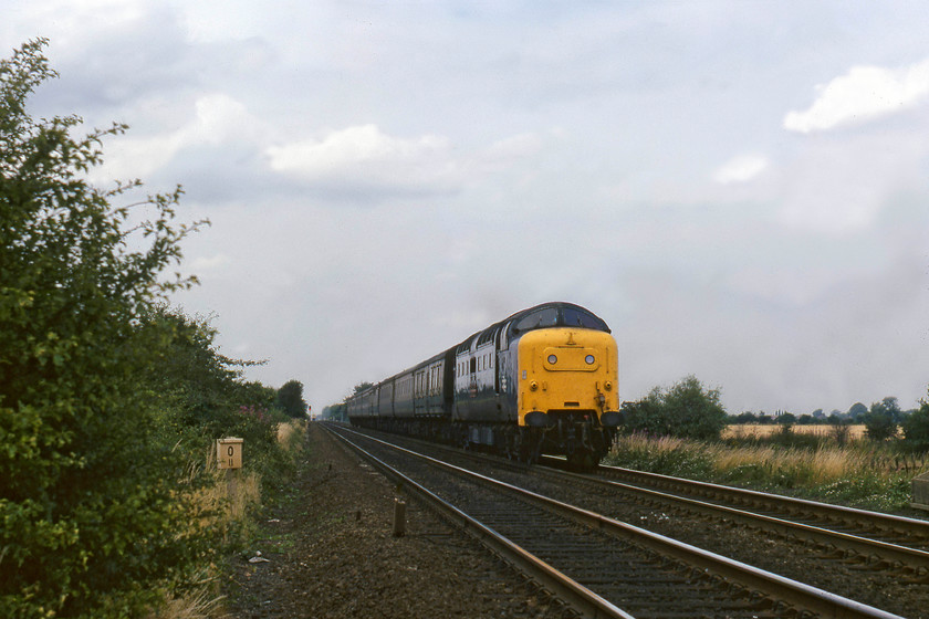 55010, 14.11 York-London King`s Cross (1A22), Norwell Lane crossing 
 A Deltic in a classic pose, haring along the ECML with its Napiers in full cry! 55010 'The King's Own Scottish Borderer' brings the 14.11 York to King's Cross past Norwell Lane level crossing, one of a number between Newark and Retford. Notice the milepost to the left indicating zero miles, even after studying my superb track atlas book, I can see no reference to a change of mileage on this section of track; can anybody advise? Too small to see on the image, but an enlargement of the original scan reveals a northbound HST disappearing into the distance, Graham and I would probably have cursed its passage back in 1979! 
 Keywords: 55010 14.11 York-London King`s Cross 1A22 Norwell Lane crossing