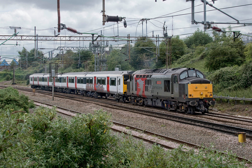 37800 & 317886, 11.59 Ilford EMUD-Killmarnock Bonnyton (5Q08, 20E), Mill Lane bridge 
 Making quite an English Electric row, 37800 'Cassiopeia' accelerates away from Northampton about to pass under Mill Road bridge towing 317886. The former GA unit was being dragged from Ilford to Kilmarnock's Brodie Engineering facility for work to be undertaken. I have never used this spot before and for once I was thankful that the sun was obscured by heavy cloud as this photograph would have been taken straight into it! 
 Keywords: 37800 317886 11.59 Ilford EMUD-Killmarnock Bonnyton Mill Lane bridge ROG Rail Operation GRoup Europheonix Greater Anglia GA Cassiopeia 5Q08