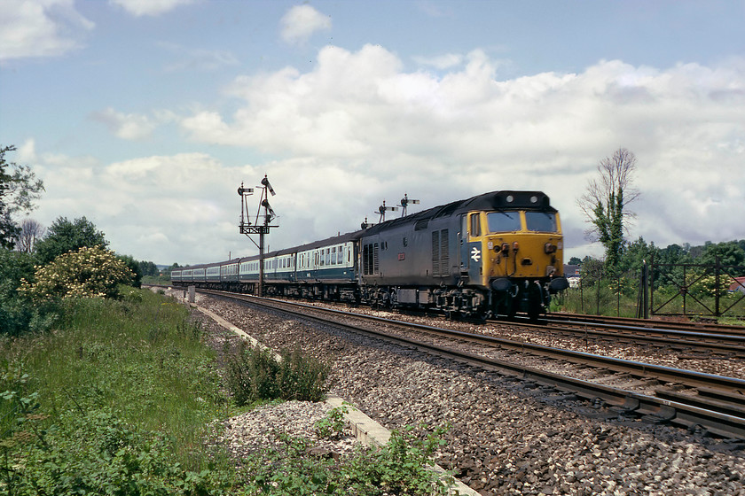 50041, unidentified up working, Silk Mill crossing 
 50041 'Bulwark' is at full speed as it passes Silk Mill's home bracket signal with the busy level crossing and signal box just behind me and over my right shoulder. I have not been able to identify this working but the amazing RailGenArchive (sic) website has 50041 working the 1A77 09.00 Penzance to Paddington service and the time it was seen (early lunchtime) at Silk Mill would be about right for this train. The loco is seen looking a little rough in its original livery and yet to be refurbished. A year after its refurbishment it came to grief in the throat of Paddington station in November 1983 after derailing unceremoniously sliding on its side later going on to be repaired and returning to service in January 1985. 
 Keywords: 50041 unidentified up working Silk Mill crossing Bulwark